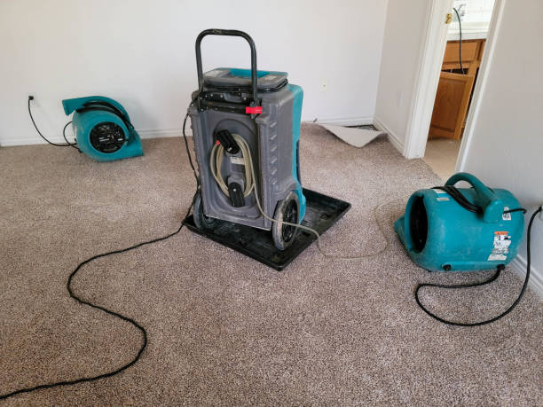 Best Water damage restoration services  in Ballinger, TX