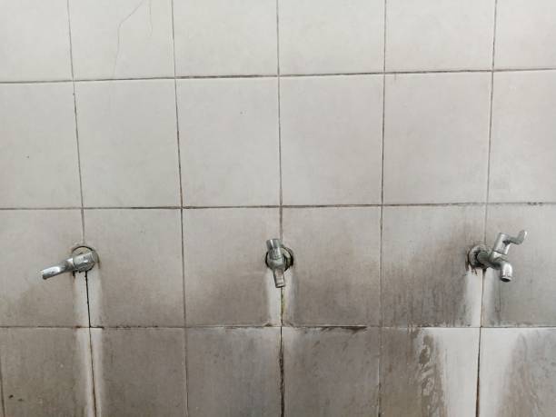 Best Flooded house restoration  in Ballinger, TX