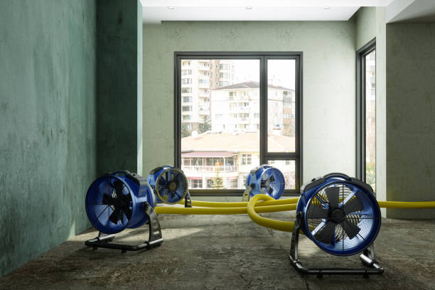 Best Water damage repair service  in Ballinger, TX